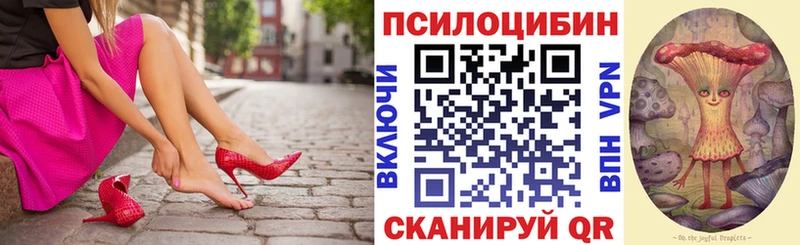 МЕГА зеркало  где купить   Ейск  Псилоцибиновые грибы Psilocybe 